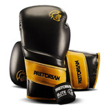 Kit Boxe Muay Thai