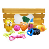 Kit Brinquedos Cachorro Anti