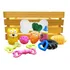 Kit Brinquedos Mordedores Pet Cachorro Caixa Organizadora