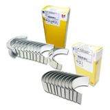 Kit Bronzina Biela Mancal