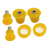 Kit Bucha Quadro Agregado