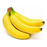 Kit Bulbo Bananas E