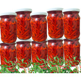 Kit C 10 Potes Pimenta Malagueta Em Conserva No Oleo 230 Gr