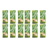 Kit C 12 Água De Coco Ducoco 200ml Coco Em Caixa