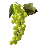 Kit C 2 Cachos Uvas Roxas Artificiais P Decoracao Cafe Ceia