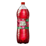 Kit C 2 Refrigerante Framboesa Água Da Serra Garrafa 2l