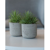 Cactos