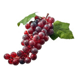Kit C 3 Cachos Uvas Roxas Artificiais P decoracao Santa Ceia
