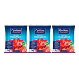 Kit C 3 Gelatina Sabor Morango Qualimax 1kg