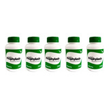 Menta