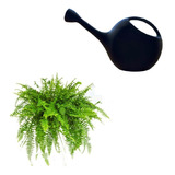 Kit C 5 Regador Plantas Jardim 8l C bico Chuveiro Removível