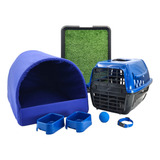 Kit Cachorro Gato Caminha Tunel Transporte Sanitário Grama G