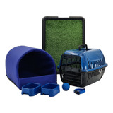 Kit Cachorro Gato Caminha Tunel Transporte Sanitário Grama P