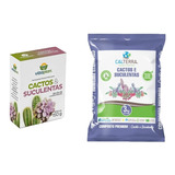 Kit Cactos Suculentas 150g substrato Cactos suculentas 3kg