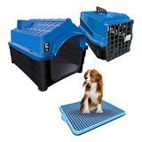 Kit Casinha Caixa De Transporte E Sanitário Pet Dog N1 Cor Azul