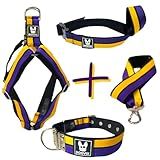 Kit Coleira Guia Peitoral Focinheira Para Cachorro Pitbull Lakers G 