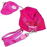 Kit Colete Aerado E Boné Aerado Rosa G Pet