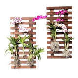 Kit Com 02 Painéis 60x40 Jardim Vertical Ou Horta Suspensa