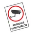 Kit Com 10 Placas Aviso Monitoramento Cameras Segurança Dvr