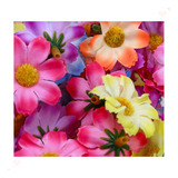 Kit Com 100 Apliques Flor Com Miolo De 30mm Em Poliester