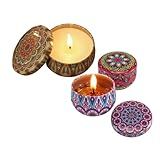 Kit Com 12 Velas Aromáticas Lavanda Latinha Vintage Enfeite Para Lembrancinhas Decoração Artesanato Ninja Tech