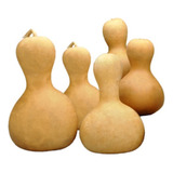 Kit Com 15 Unidades De Mini Cabaça Ou Porongo Cuia