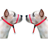 Kit Com 2 Coleiras Cabresto K 9 Spirit Tam M Vermelha