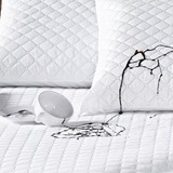 Kit Com 2 Porta Travesseiro Impermeável Com Zíper Protetor