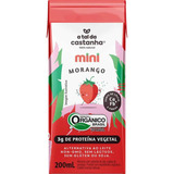 Kit Com 27 Unidades Bebida Vegetal Mini Morango 200ml A Tal Da Castanha