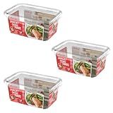 Kit Com 3 Potes De Plástico Retangular Para Marmita Fit Com Tampa E 4 Travas 1400ML Tramsparente