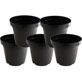 Plantas