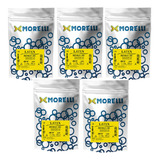 Morelli