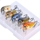 Kit Com 5 Mini Iscas De Pesca Artificiais Marca Lorben Crankbait Meia Água Perfeitos Para Trutas Robalo Jacundá Tilápia Tucunaré Matrinxã Saicanga E Outros