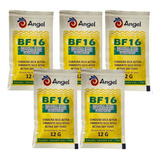 Kit Com 5 Sachês Fermento Angel Bf16 Lager 12g