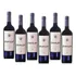 Kit Com 6 - Vinho Fino Tinto Seco Merlot - Guiseppe Di Tre 
