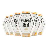 Kit Com 6 Unidades De Geleia Real In Natura 15g