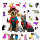 Kit Complet De 100 Moldes De Roupas Para Cães E Gatos Em Pdf