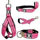 Kit Completo Coleira Peitoral Para Cachorro Guia Focinheira Confortavel M 
