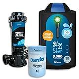 KIT Completo Gerador De Ozônio Blue Star 3000 Para Piscina De Até 100-000 Litros