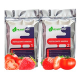 Morango