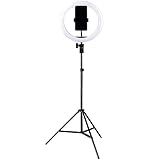 Kit Completo Ring Light 10 Polegadas Com Tripé Dimmer Youtuber Selfie Pro