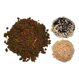 Kit Compostagem Minhocas Californianas Terra Serragem