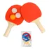 Kit Conjunto Ping Pong Tênis De Mesa Raquetes Bolinhas