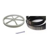 Kit Correia polia Agitador cupilha Colormaq Lcb 10