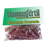 Kit Corrente De Metal Para Vasos 84 Cm Humus Fertil Com 3 Un