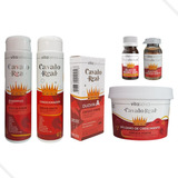 Kit Crescimento Capilar Cavalo