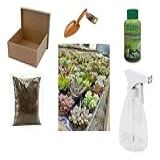 Kit Cultivo 10 Mudas