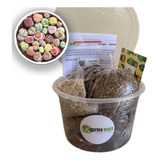Kit Cultivo De Lithops Sementes Substrato Pote Manual