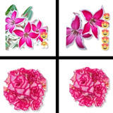 Kit De 02 Rosas D D Estrelinha E Chibi Maruko brinde