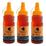 Kit De 3 Unidades Mel De Abelha Silvestre Puro 100 280g